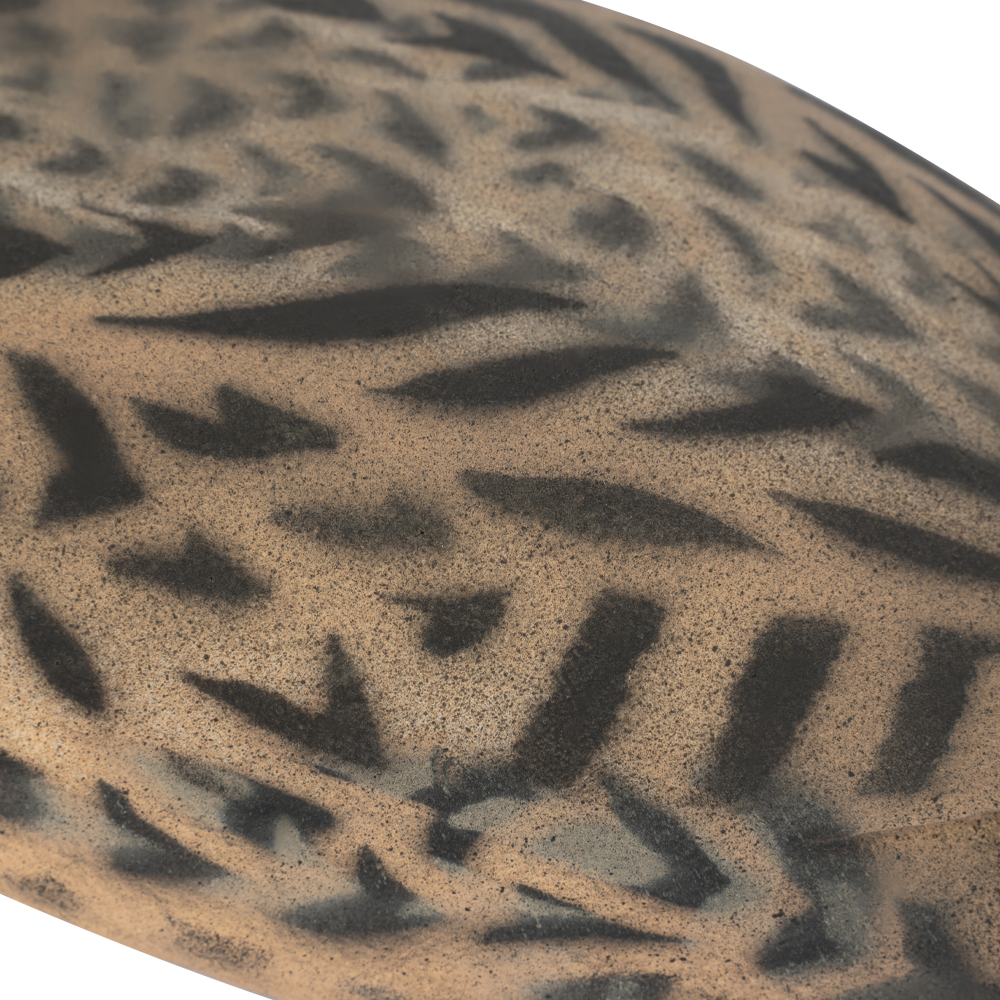 Муляж Шилохвость - Утка (Томск). Фото №4