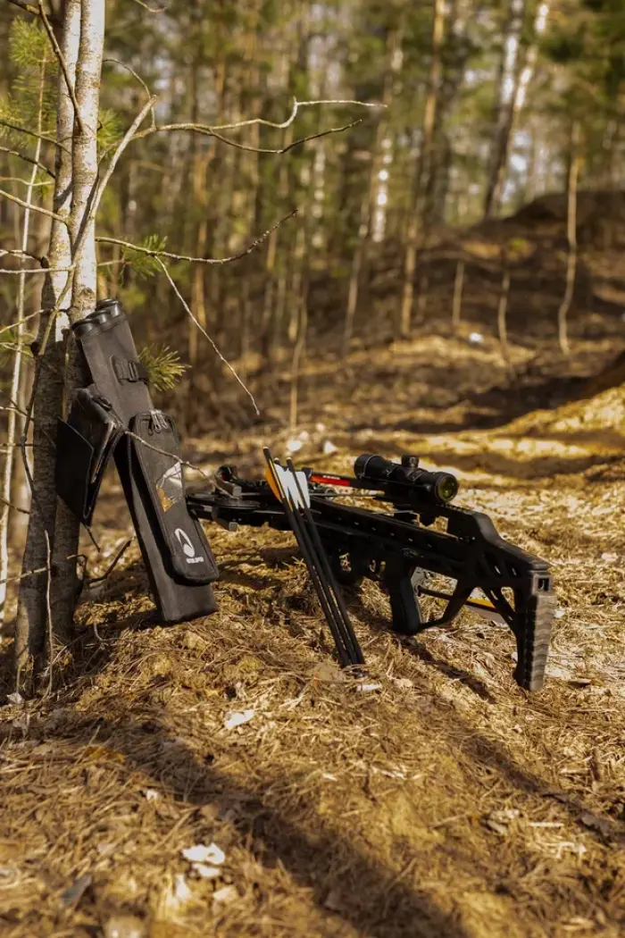 Арбалеты: история и назначение в современном мире