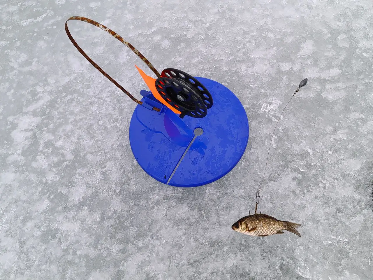 рыбалка на жерлицы