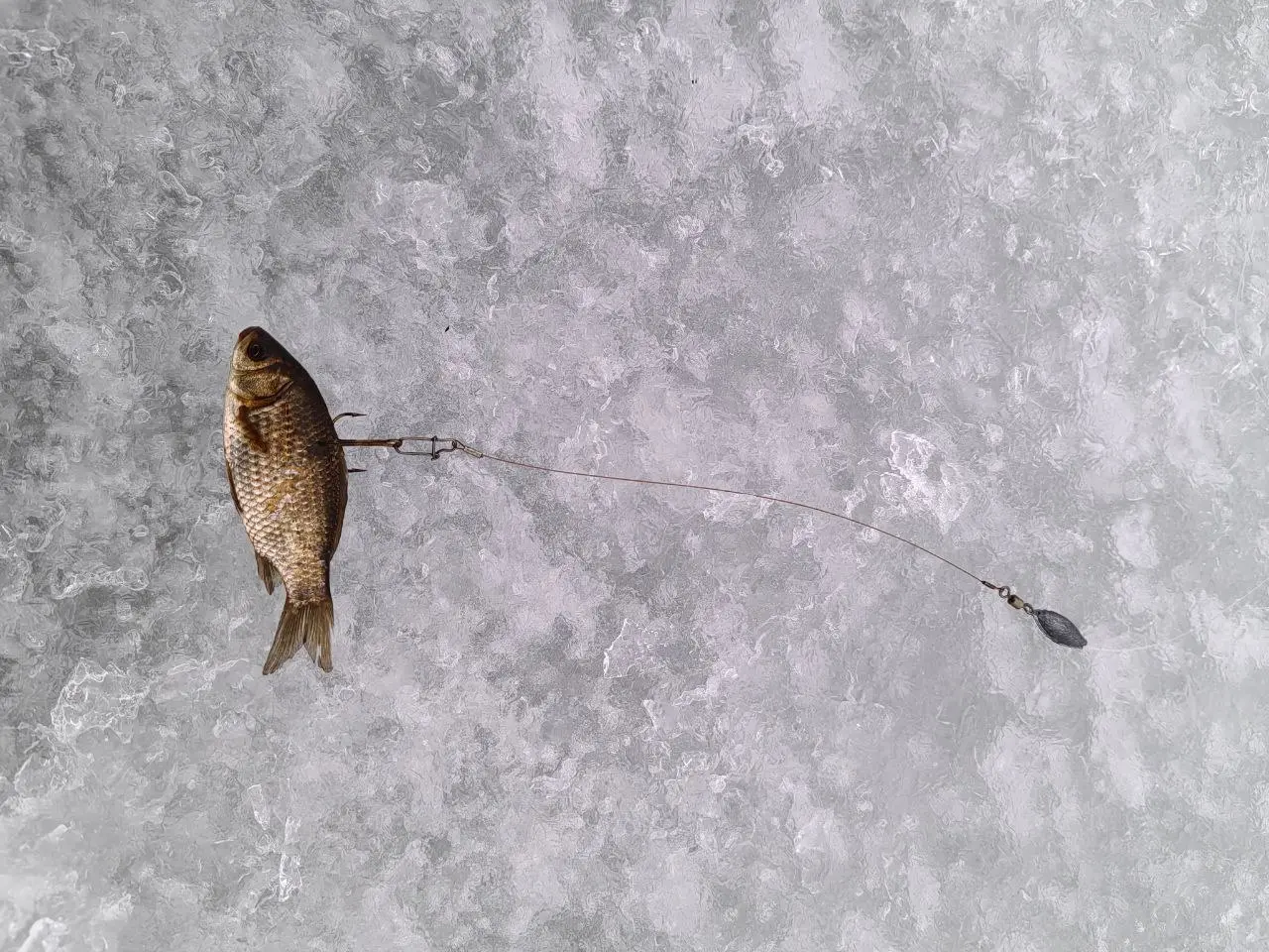 жерлицы для зимней