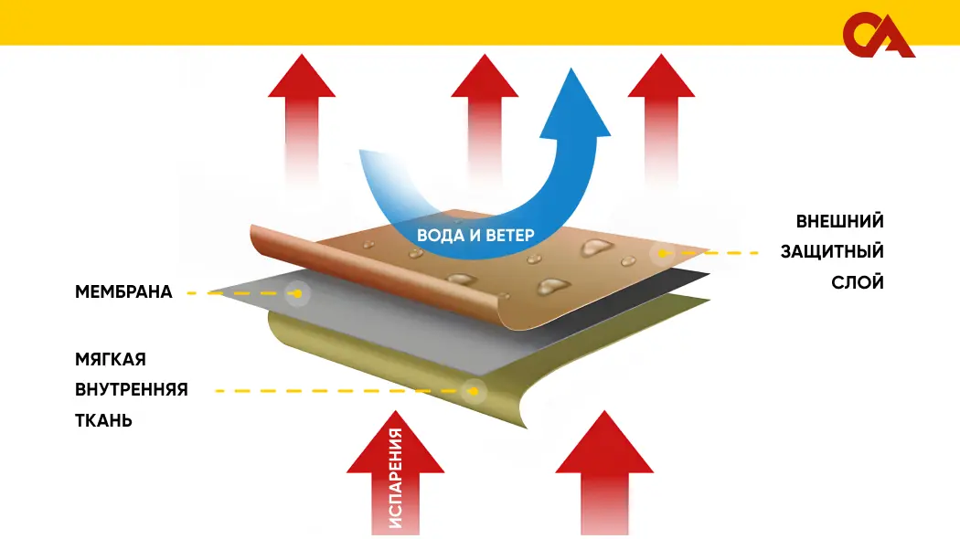 состав мембраны