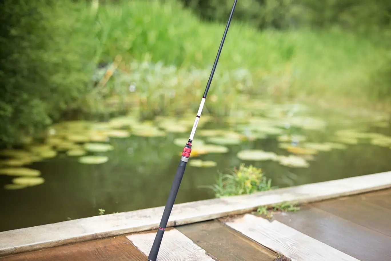 лучшие удочки