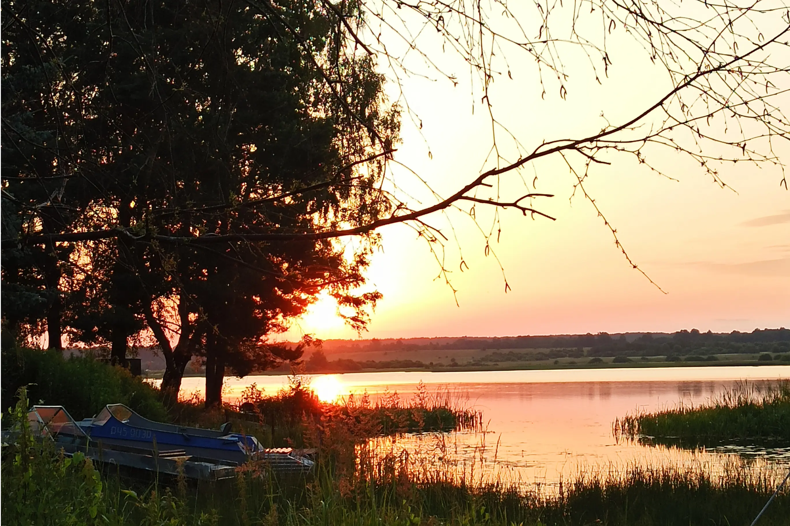 ловля карпов весной