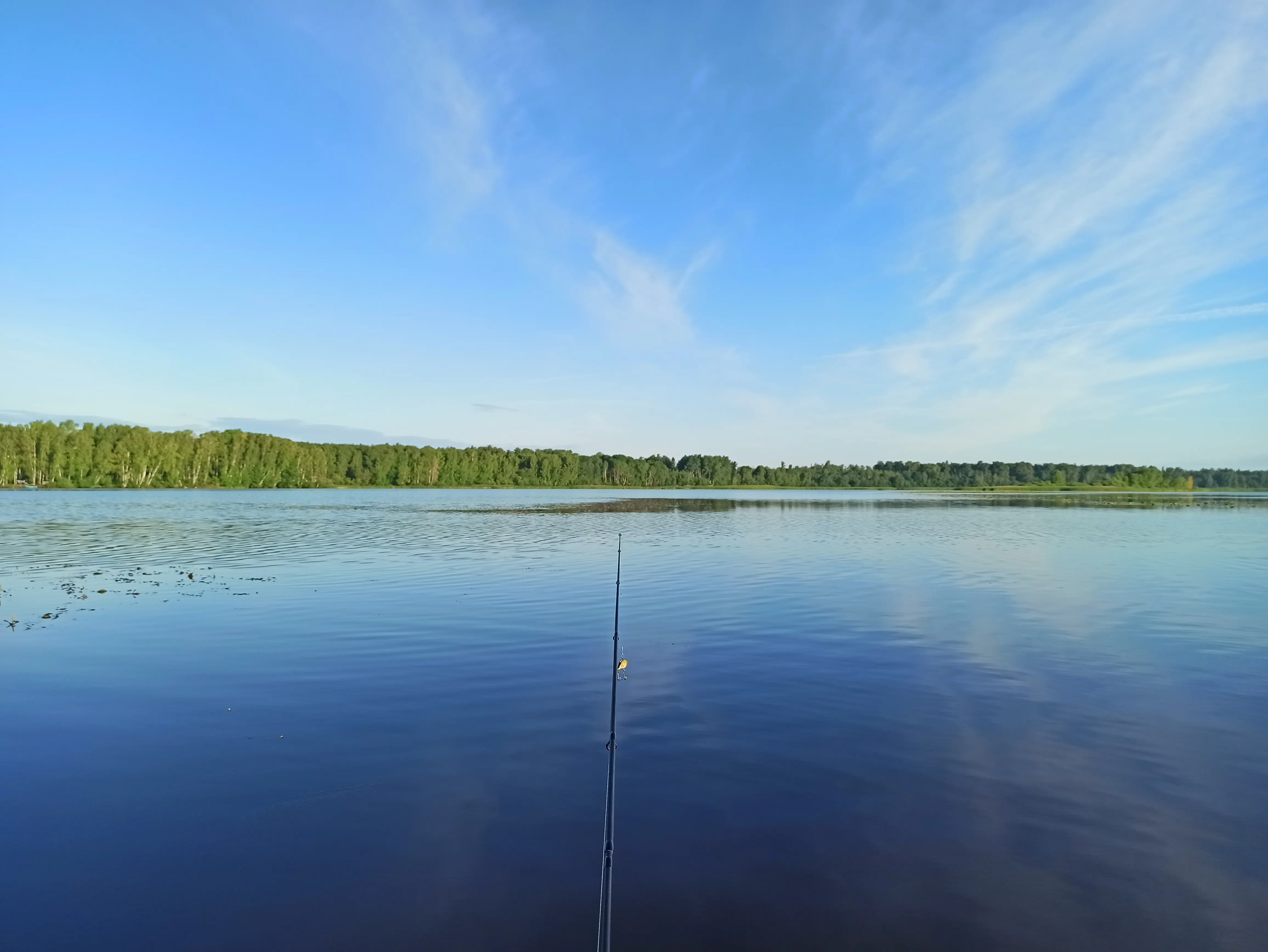 рыбалка на карпов
