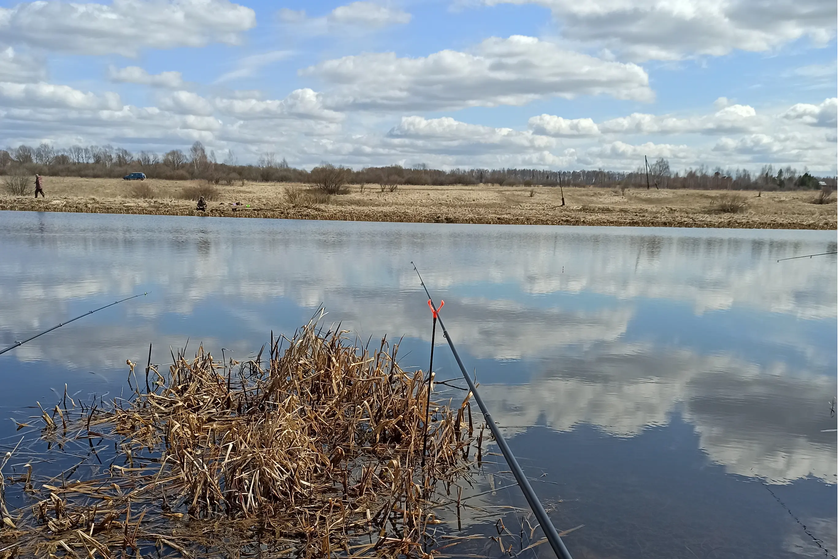 рыбалка на карпа