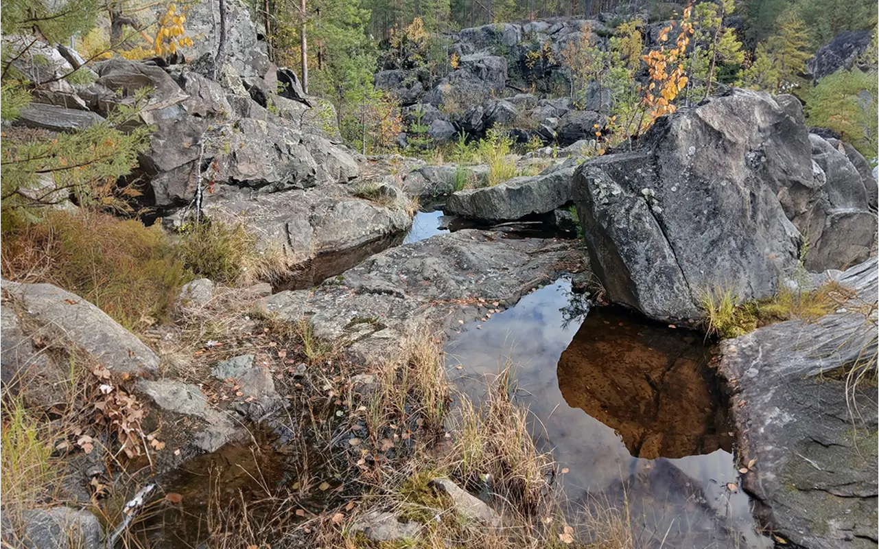 ловля хариуса