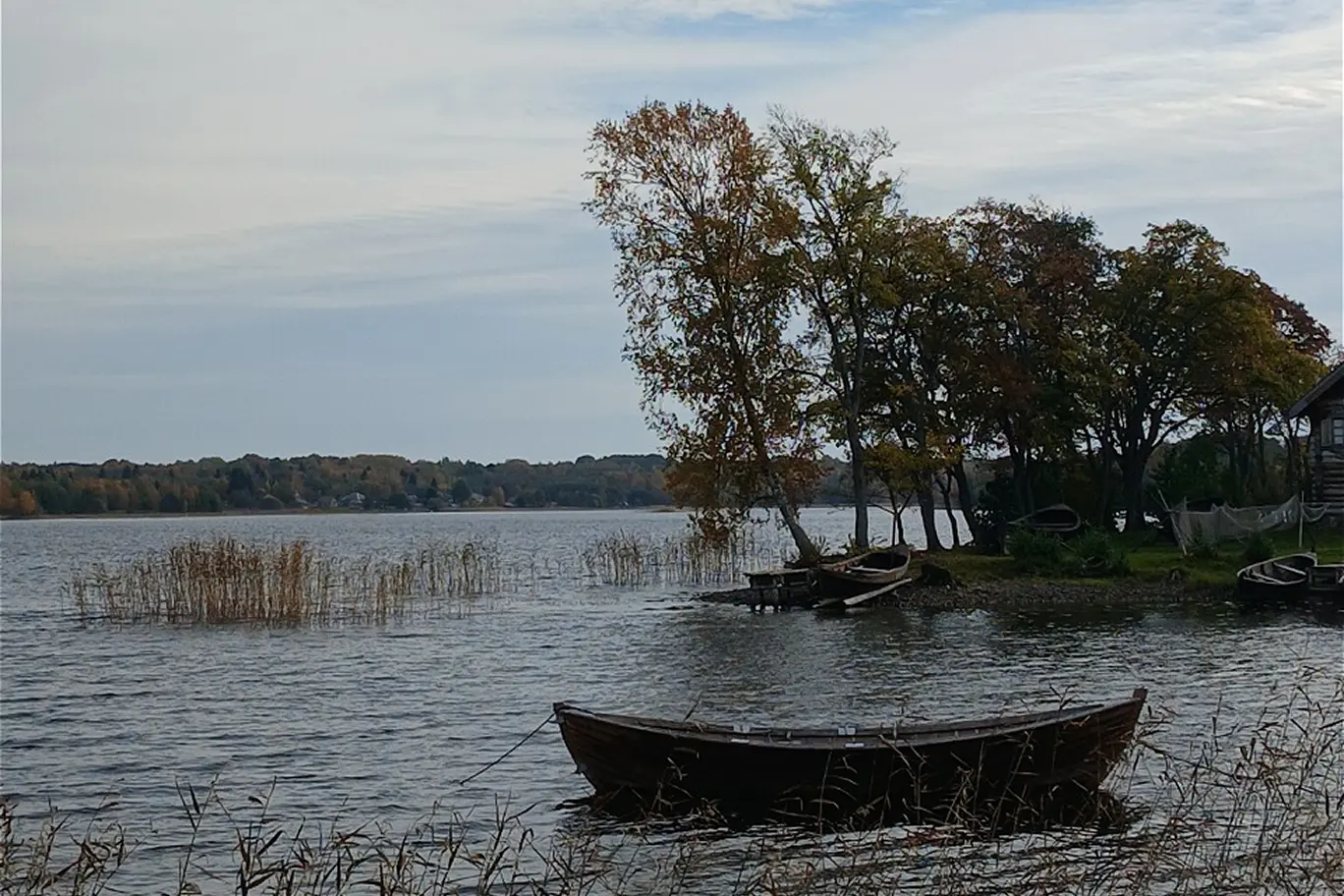 ловля хариуса