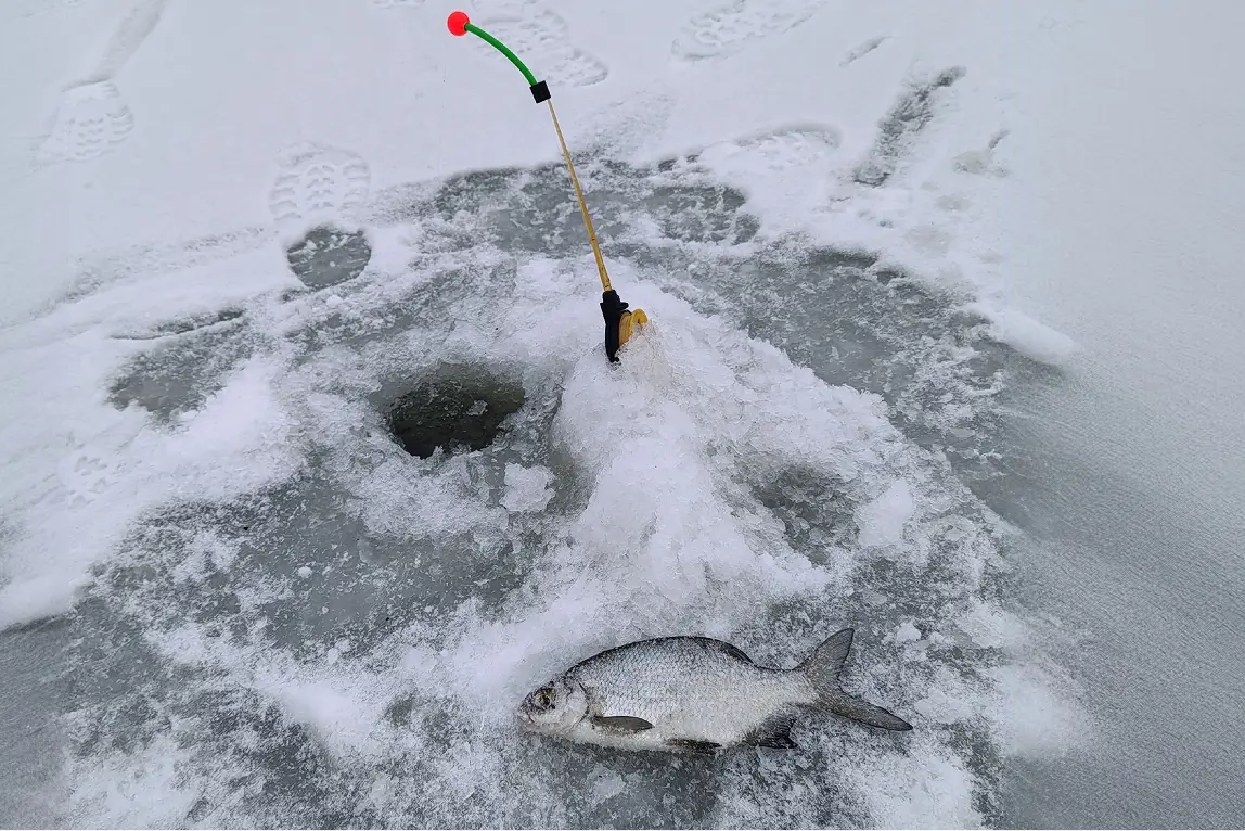 ловля леща зимой