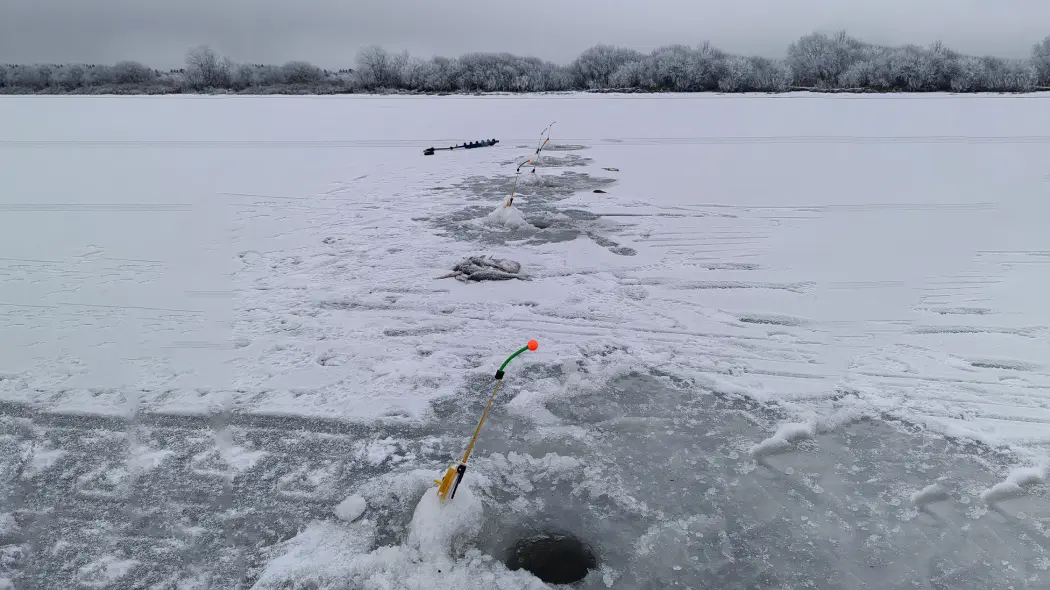 зимняя ловля леща