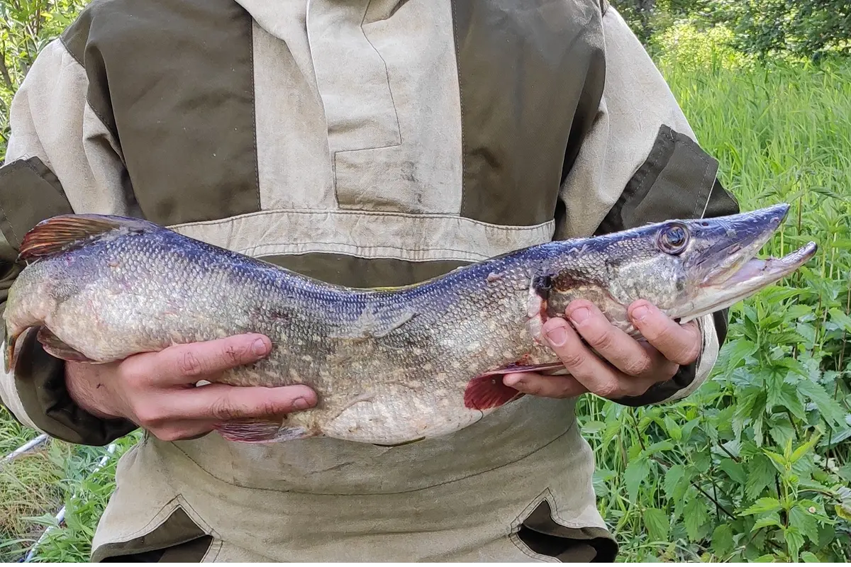 блесна на щуку летом