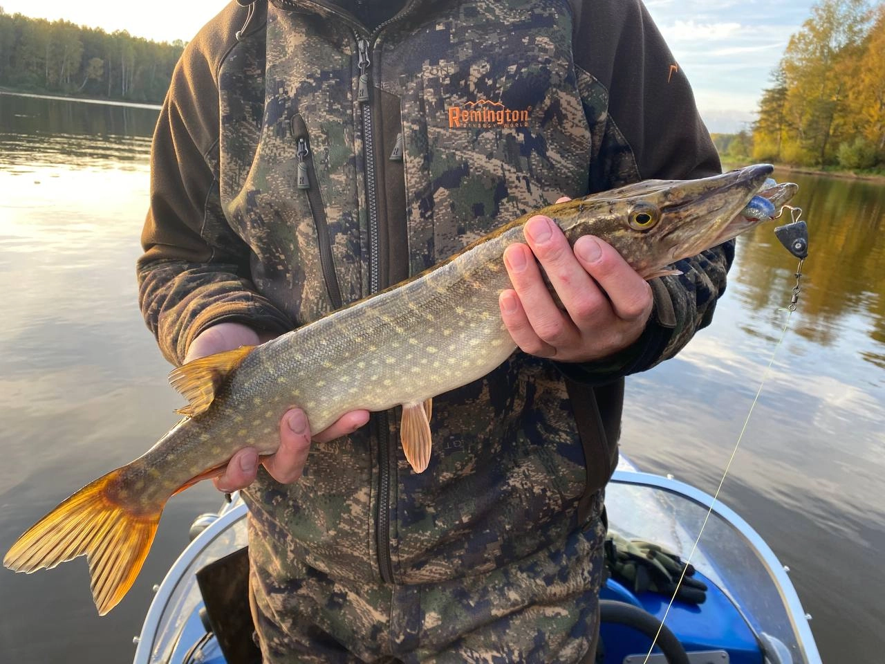 щука осенью