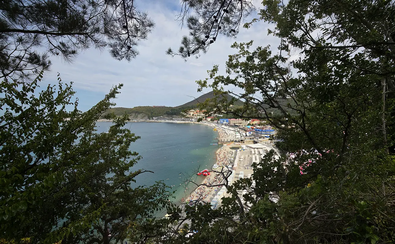 ловля ставриды