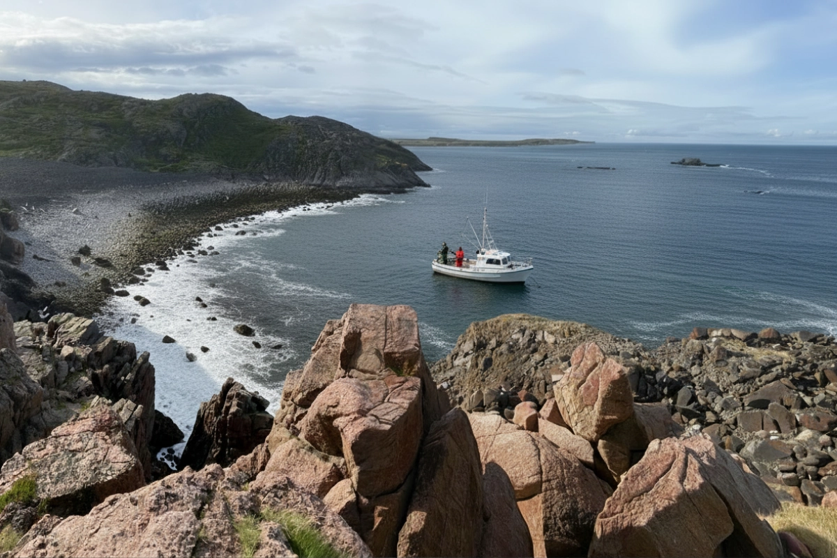 ловля трески