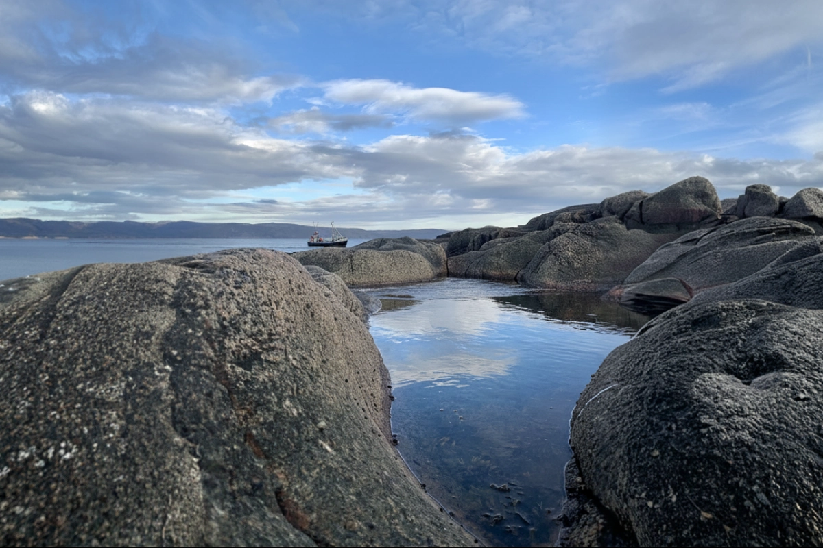 ловля трески в море