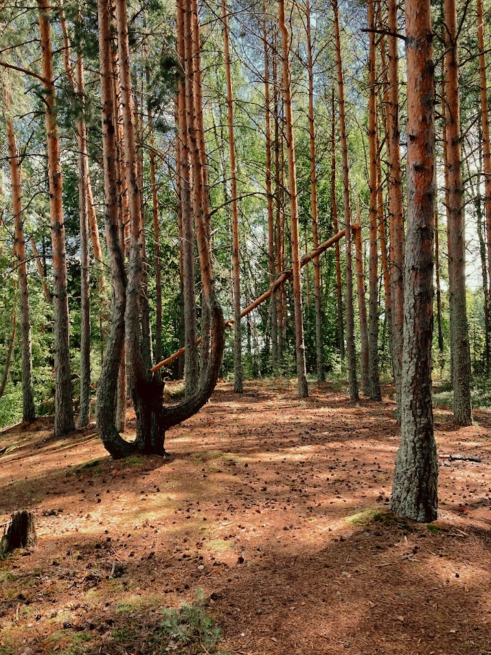 Майские праздники