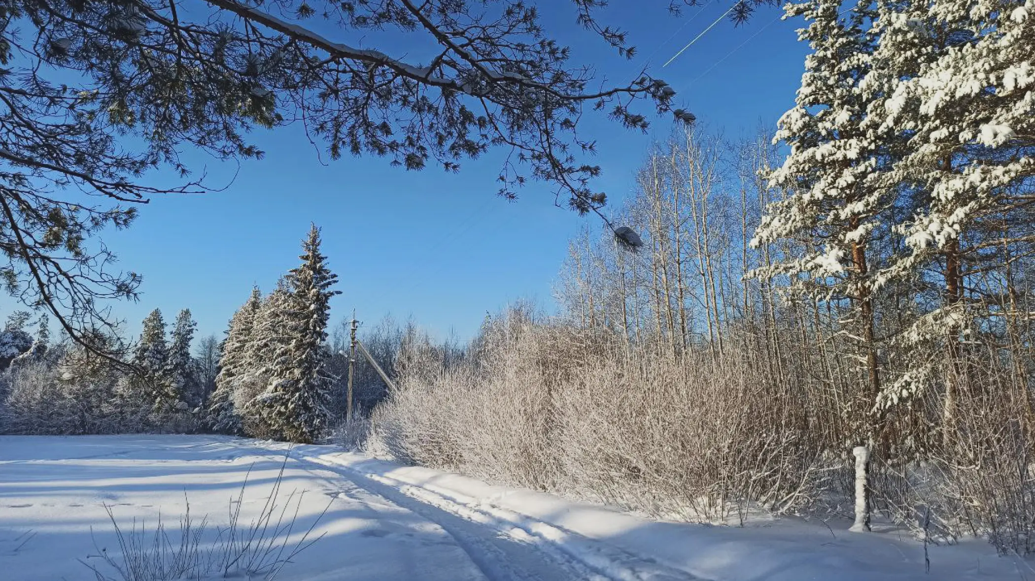 зимняя охота