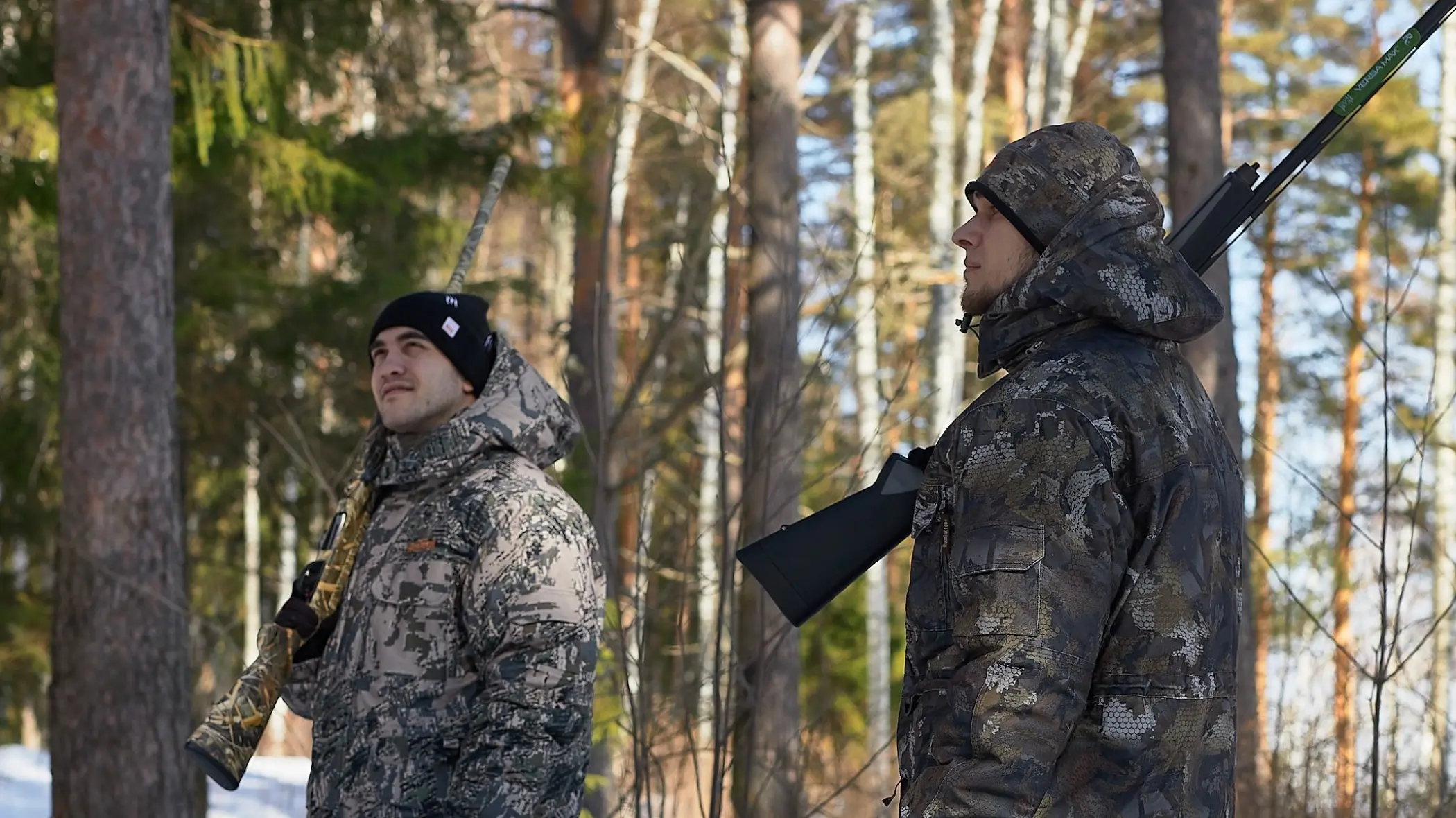 глухарь на току