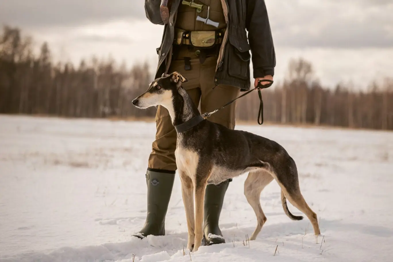 зимняя охота