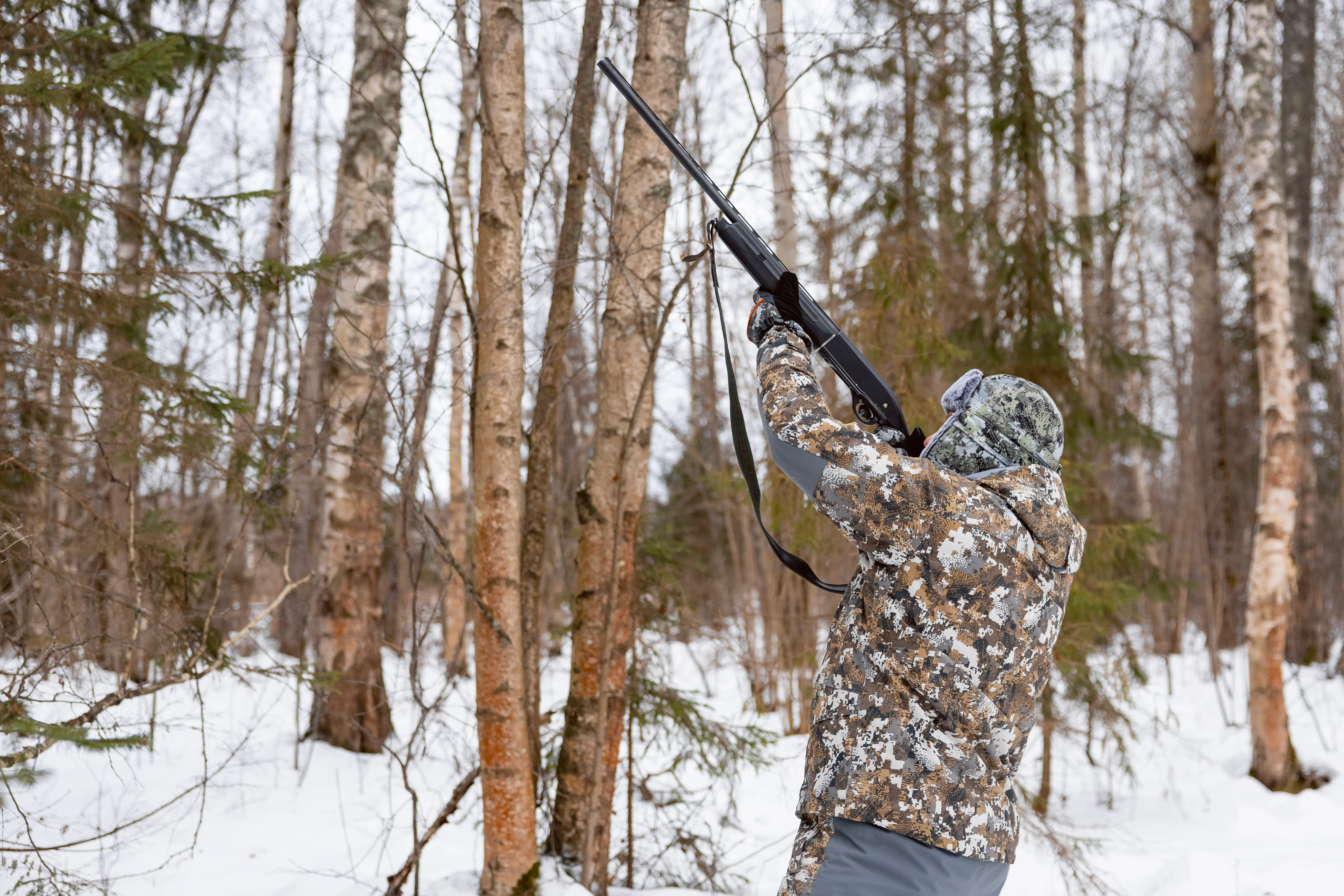 охота на с подхода