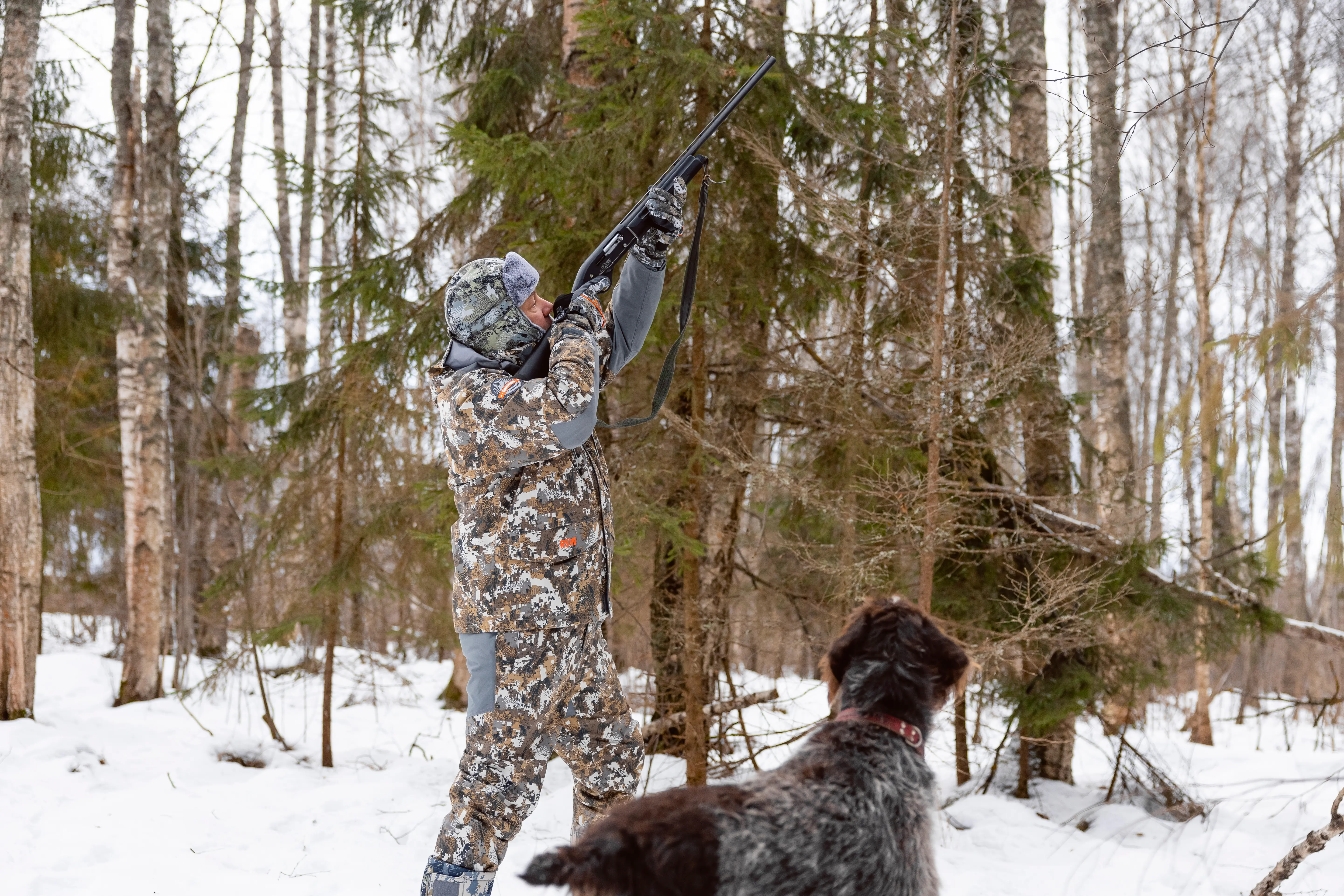 охота на тетерева 2025