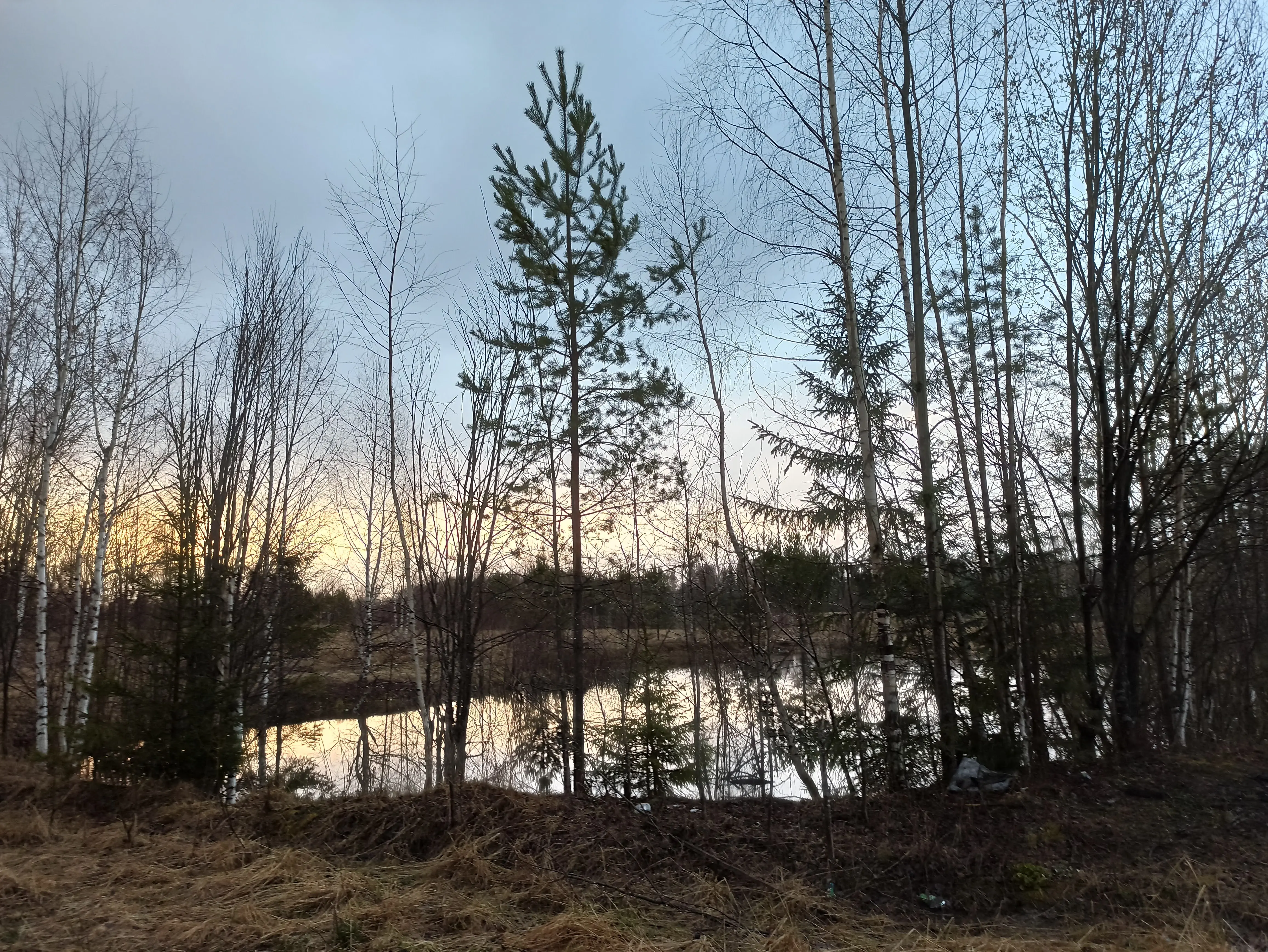 охота на тяге