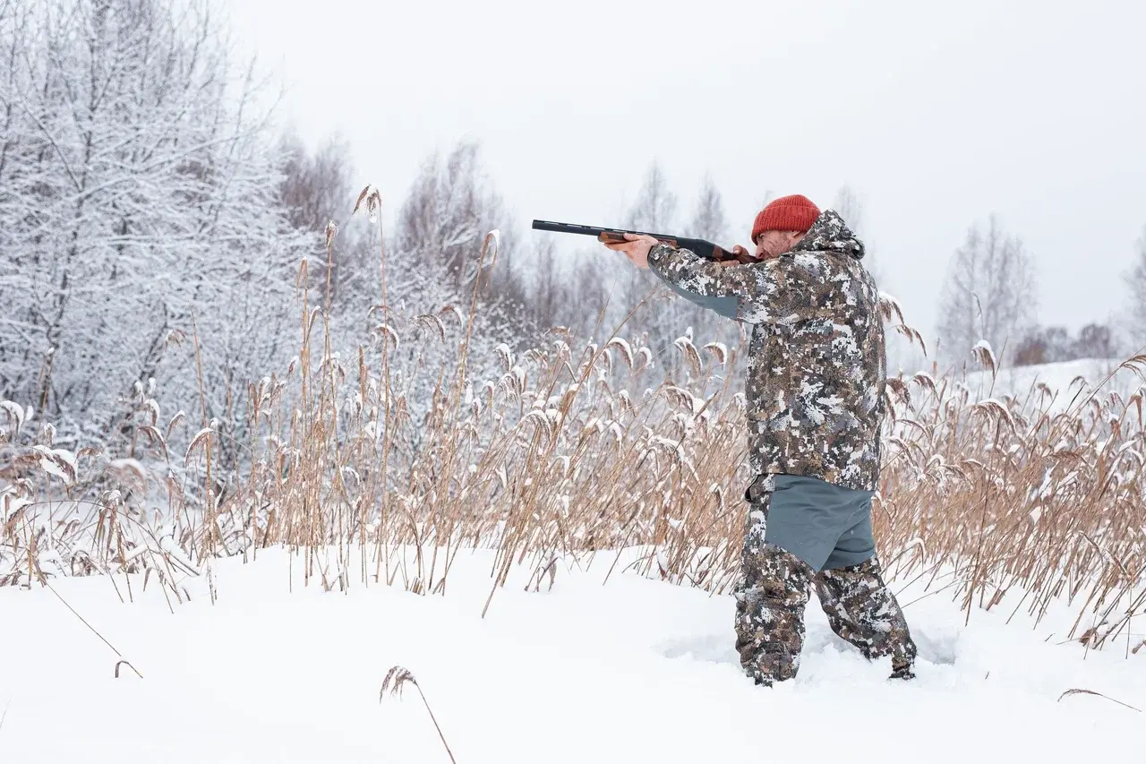 Охота на зайцев с подхода