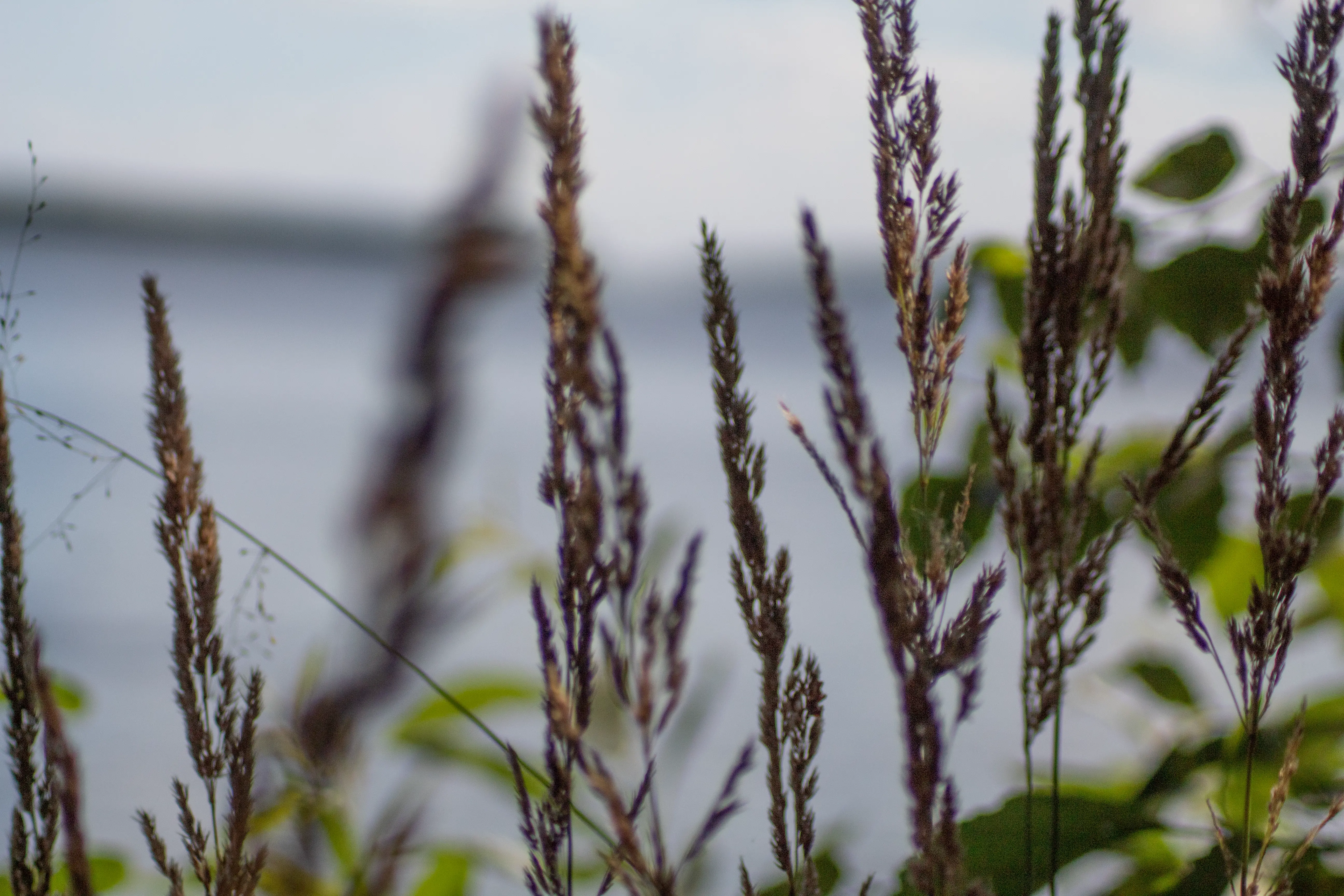 природа россии