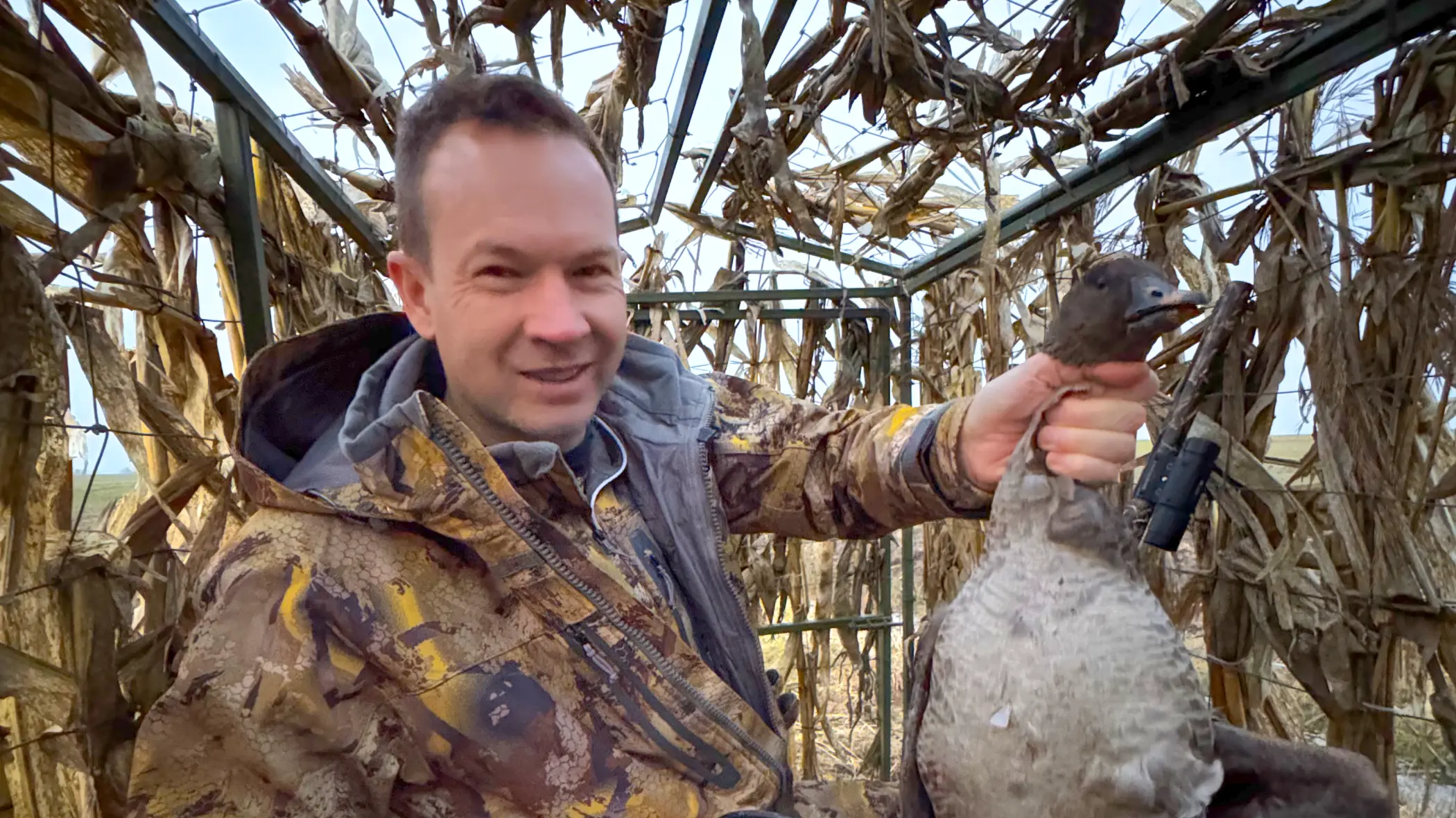 охота на гуся