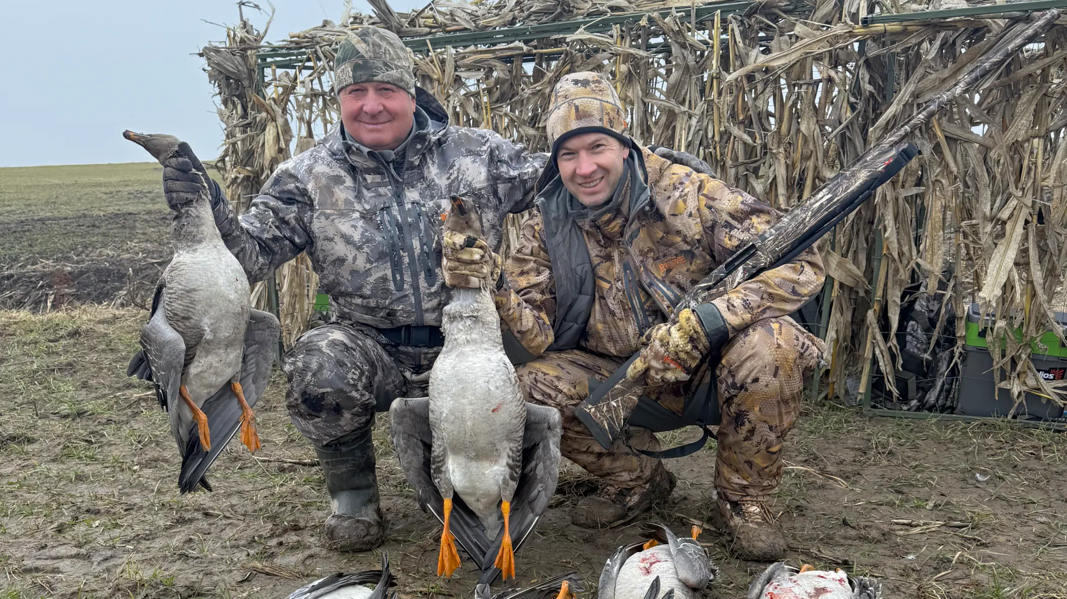 весенняя охота на гуся