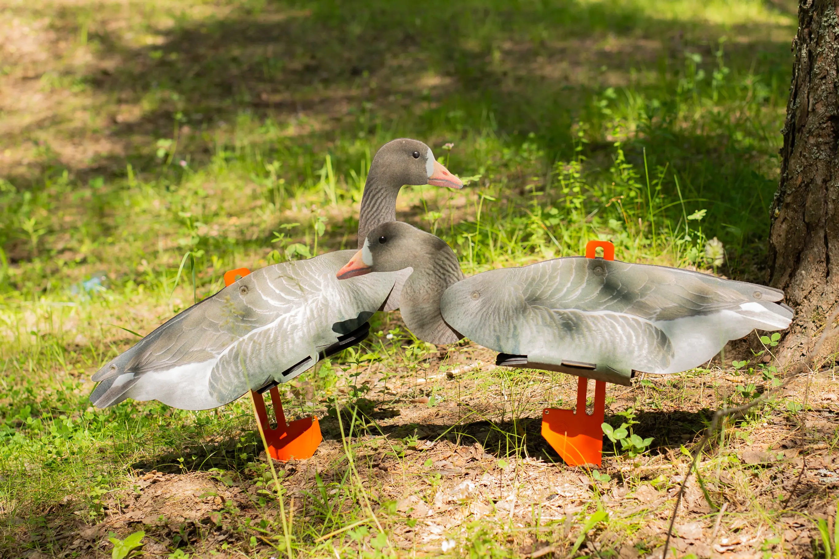 чучела гусей