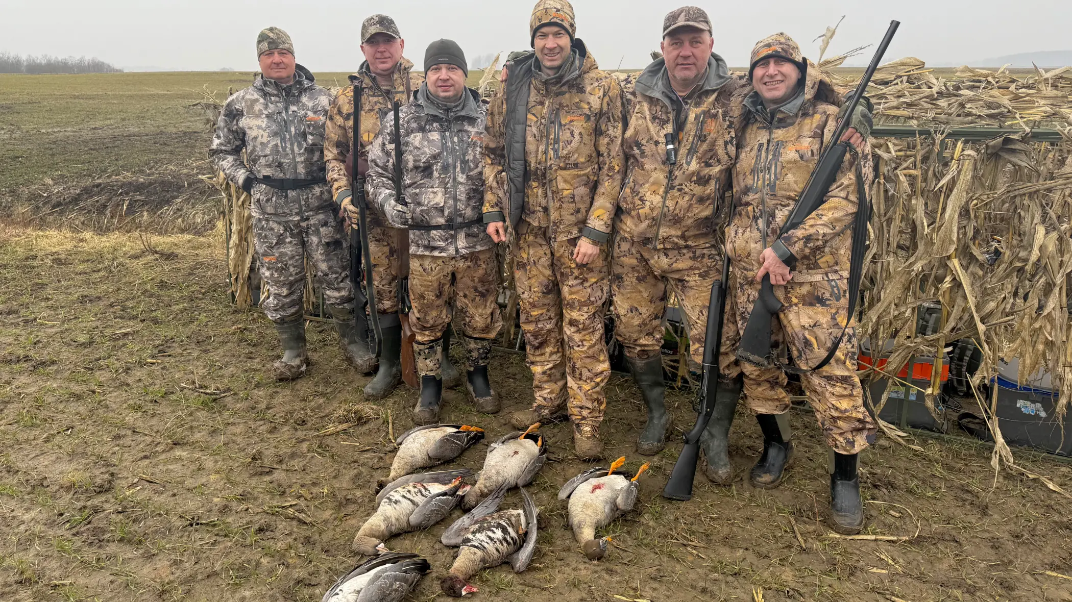 охота на гуся весна 2025