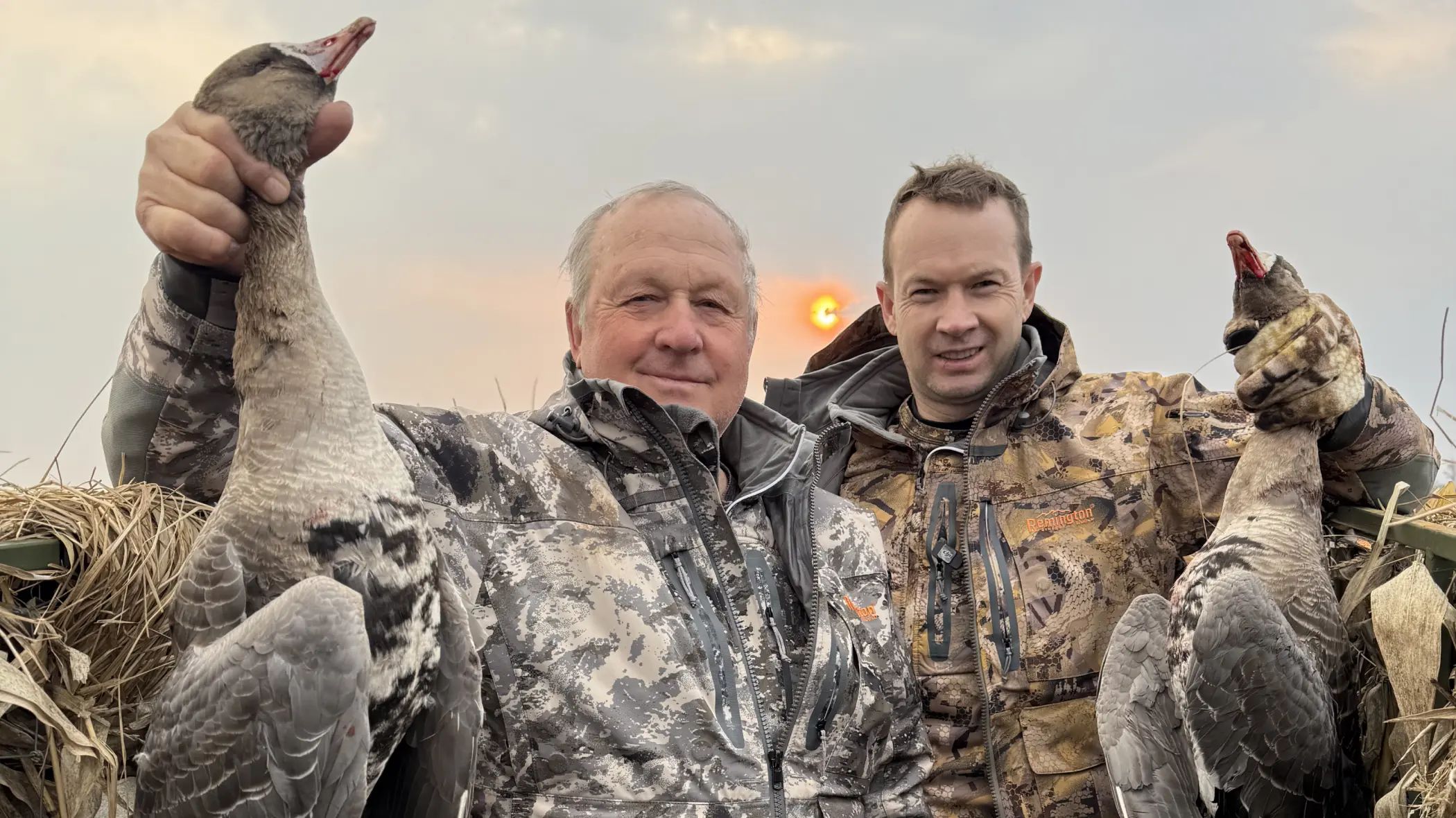 охота на гуся весной