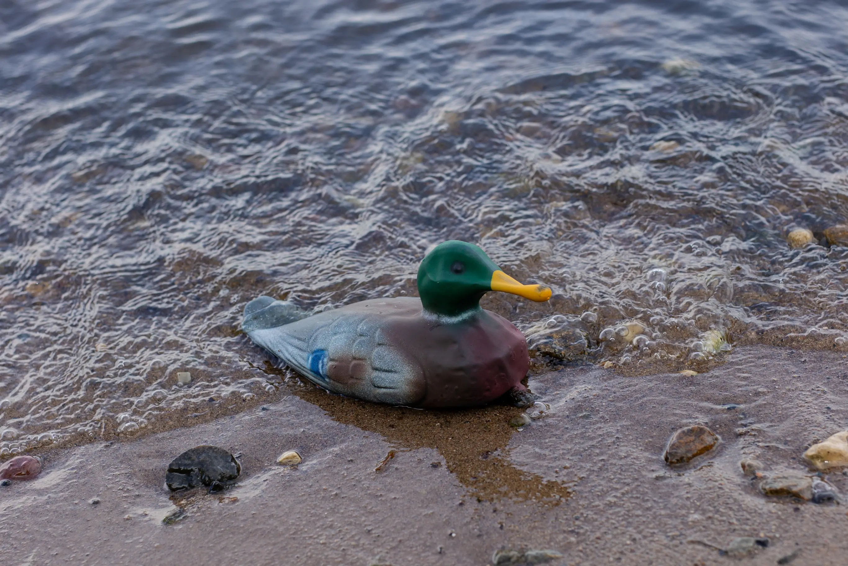 купить чучела уток