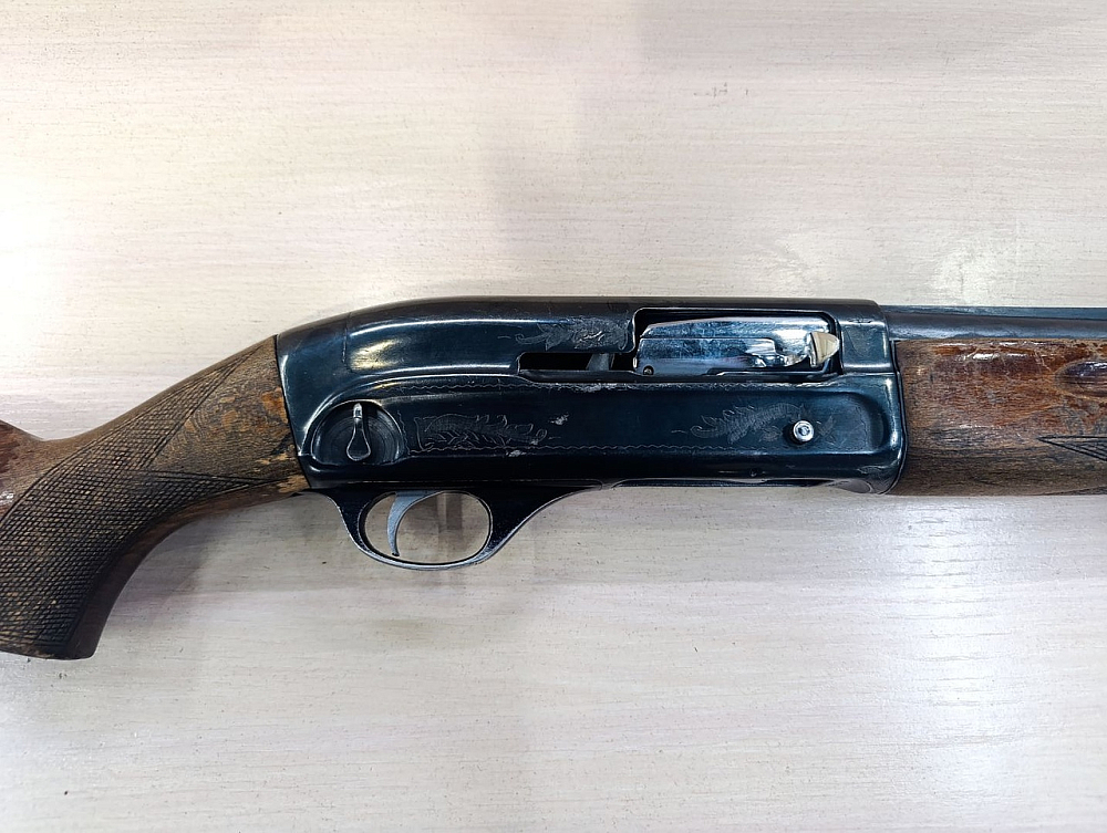 ТОЗ МЦ 21-12 кал.12х70. Фото №1