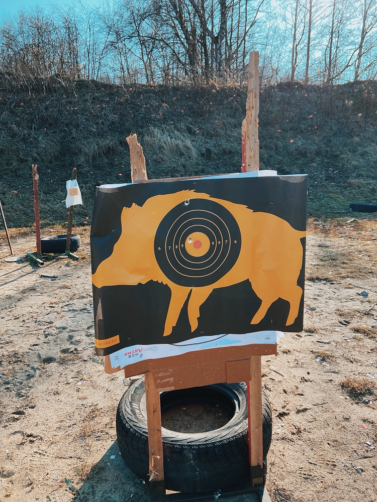 Дмитрий Савельев