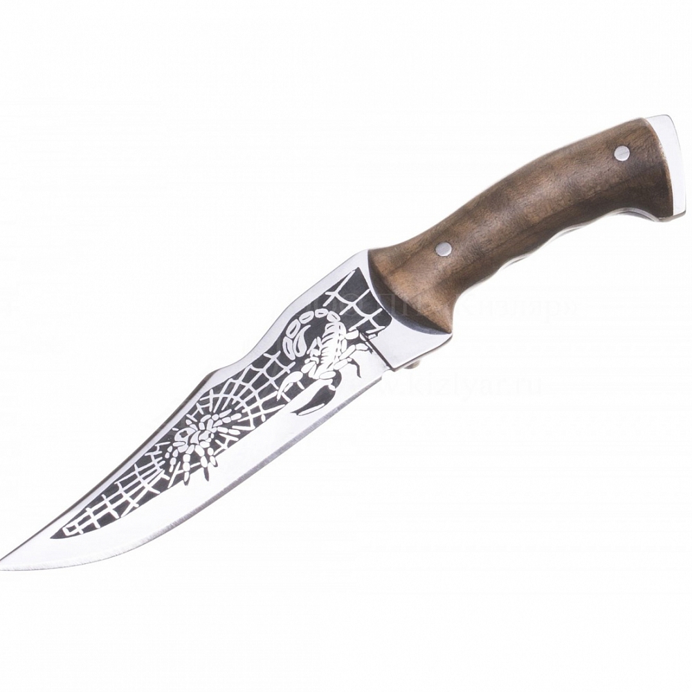 Нож Кизляр "Скорпион" (сувенирный, дерево-орех) . Фото №1