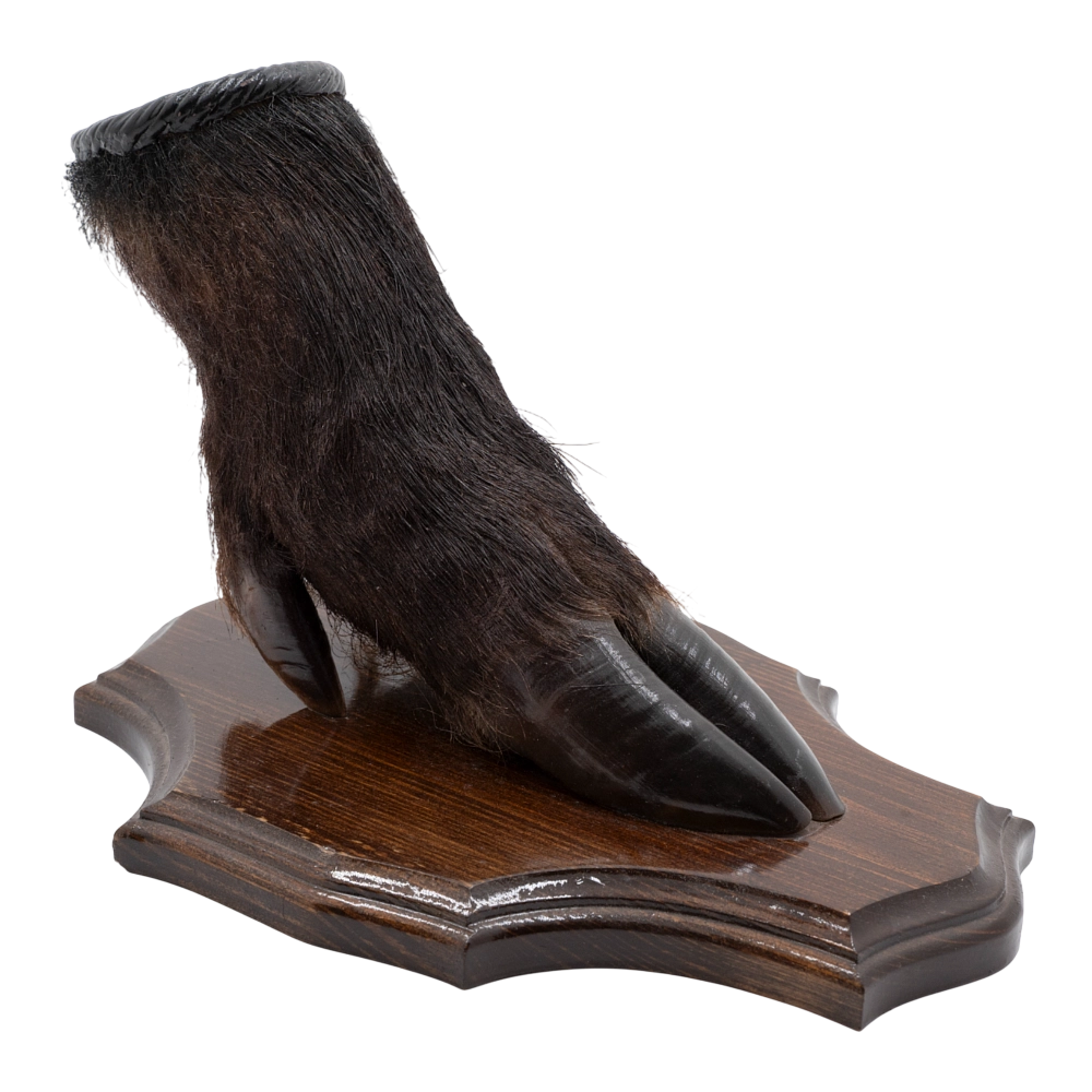 Настольная подставка "Копыто кабана". Фото №3 Настольная подставка "Копыто кабана". Фото №3