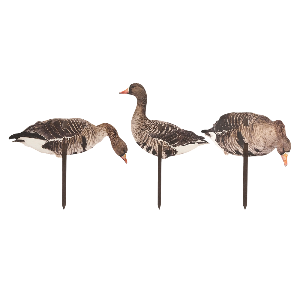 Комплект фотореалистичных гусиных профилей (пластик 12 шт). Фото №2