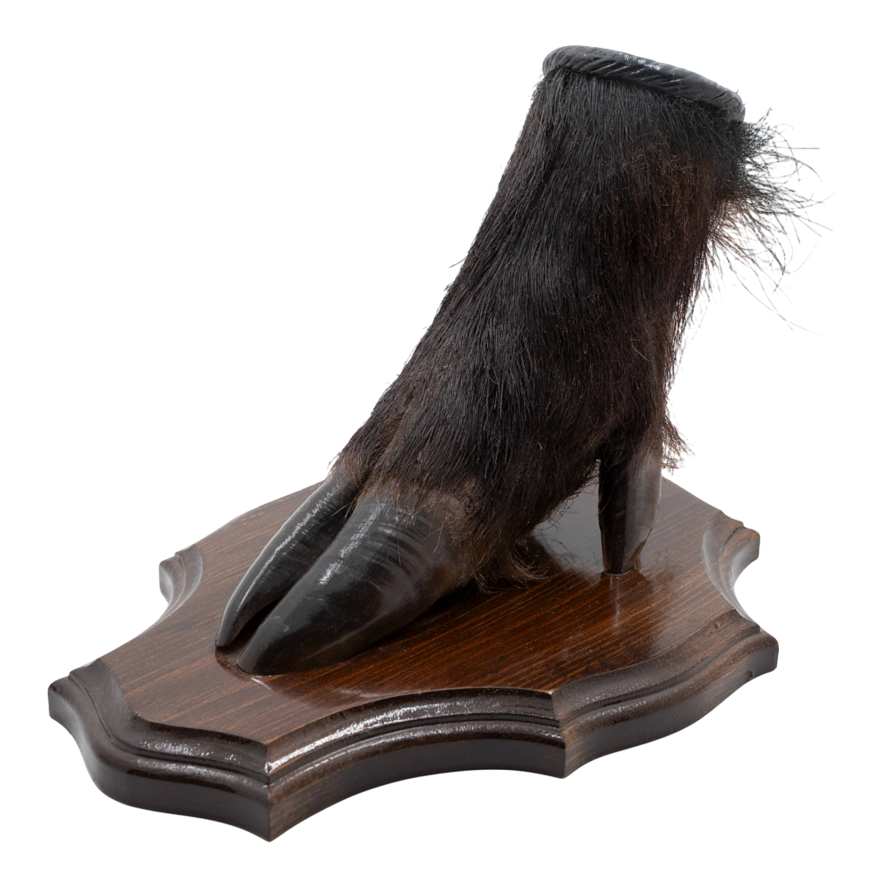 Настольная подставка "Копыто кабана". Фото №1 Настольная подставка "Копыто кабана". Фото №1
