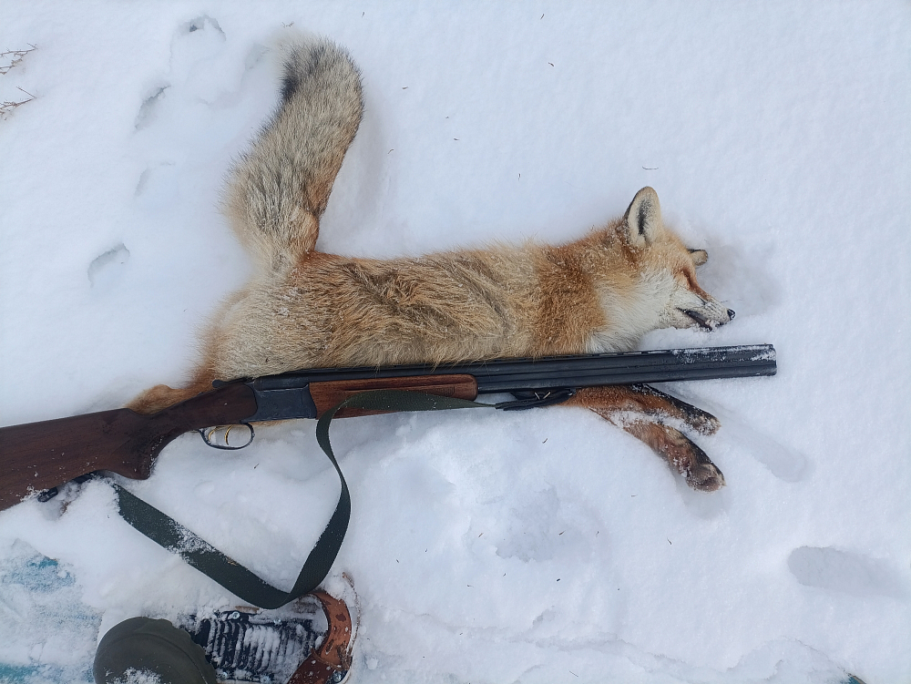 Пользователь #326296