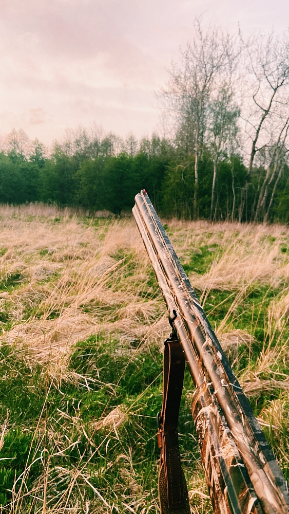 Дмитрий Савельев