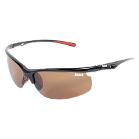 Очки Alaskan Delta AG10-02 brown (жесткий чехол)