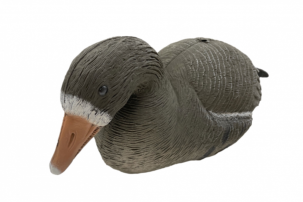 Чучело Sport Plast гусь Белолобый отдыхающий. Фото №4