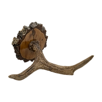 Рог лося на медальоне