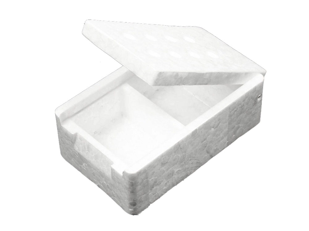 Мотыльница пенопластовая большая (Псков). Фото №1