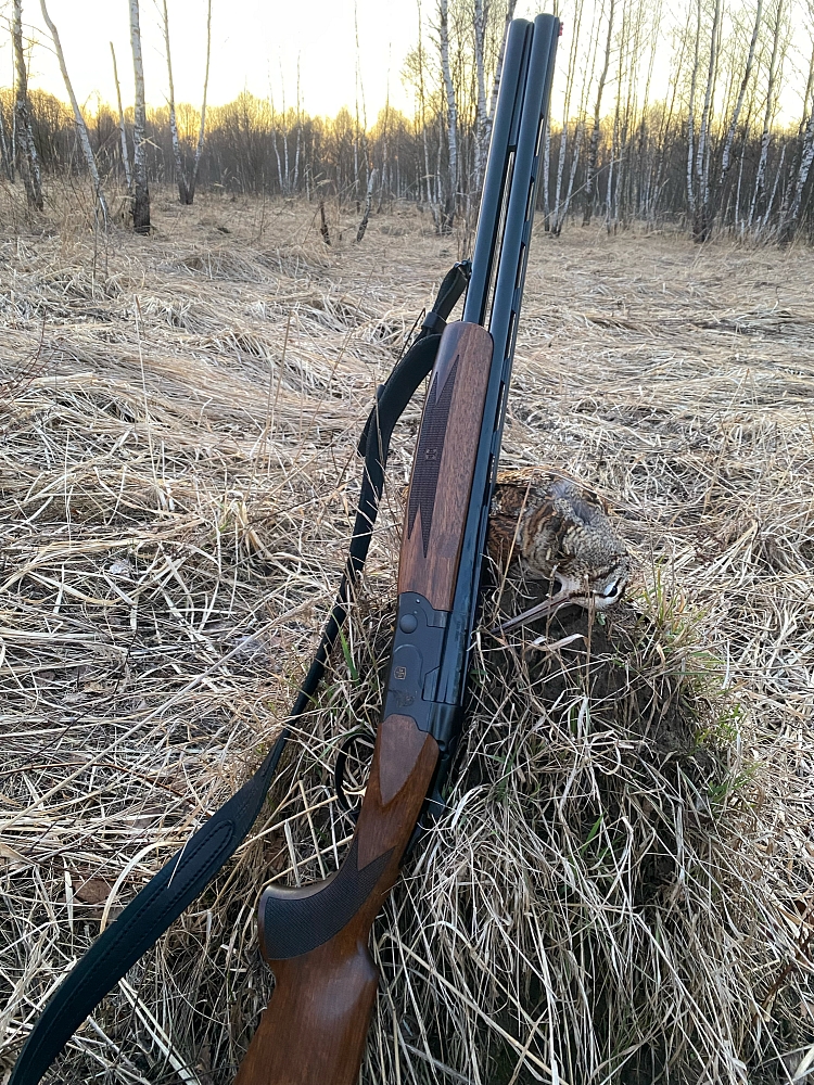 Роман Зорин