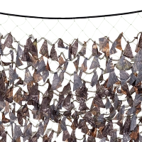 Накидка для засидки 3,5*3,5 /ткань синтетическая/(темный лес) (Хольстер)