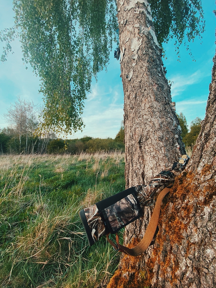 Дмитрий Савельев