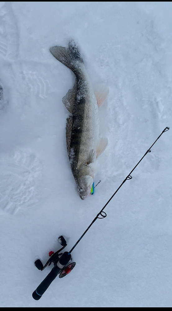 Евгений Енин