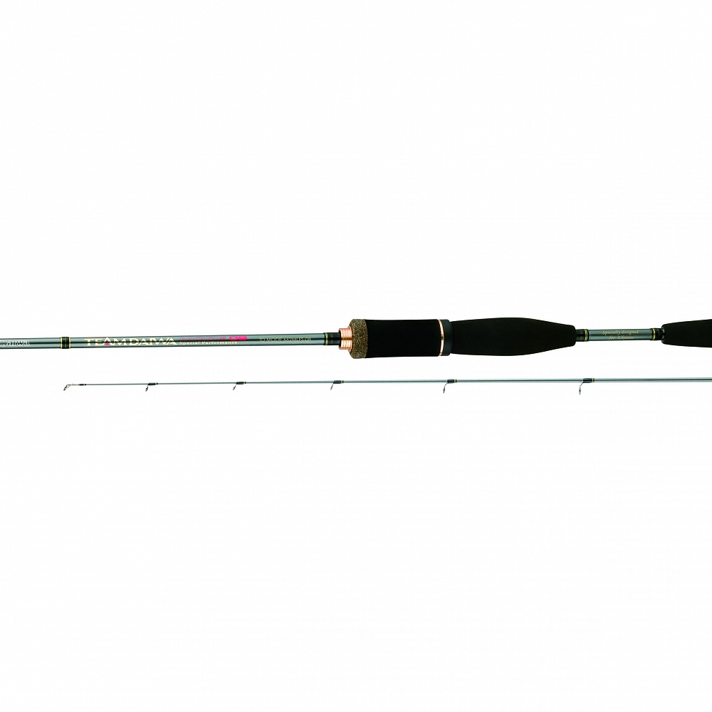 Спиннинг Daiwa Team Daiwa Mode TDM E 802MHFS 2,44м 7-28г. Фото №1